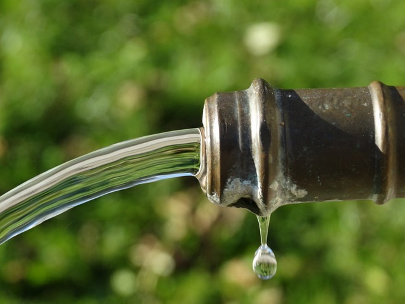 Chlorothalonil steht im Verdacht, Krebs zu erregen. (Bild Pixabay)