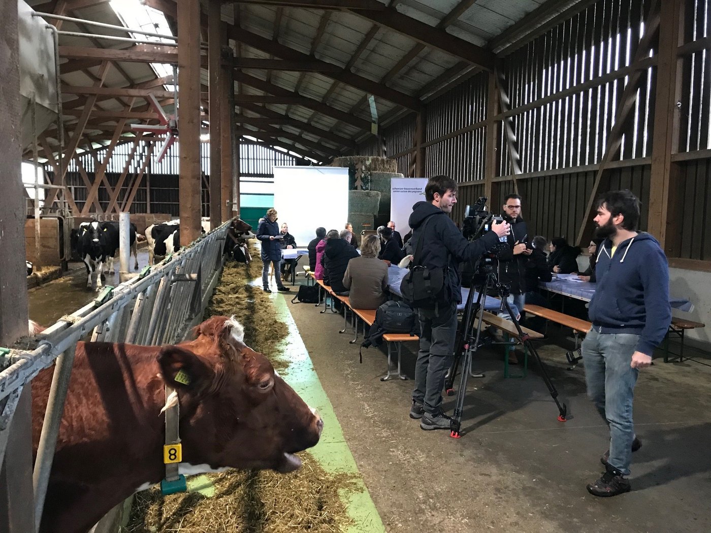 Authentisches Ambiente: Medienkonferenz des SBV in Derendingen. (Bild akr)
