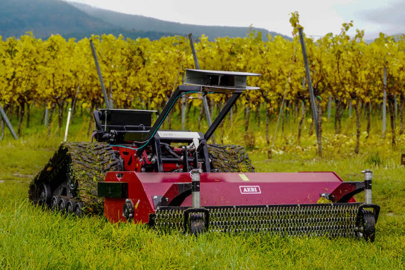Roboter im Weinbau. (Bild RobotMakers)