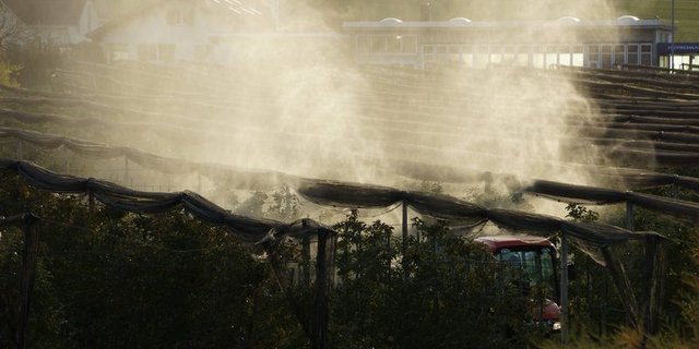 Im Gegensatz zum Feld- und Gemüsebau gäbe es für Hochrisiko-PSM im Obstbau in den meisten Fällen Alternativen. (Bild BauZ)
