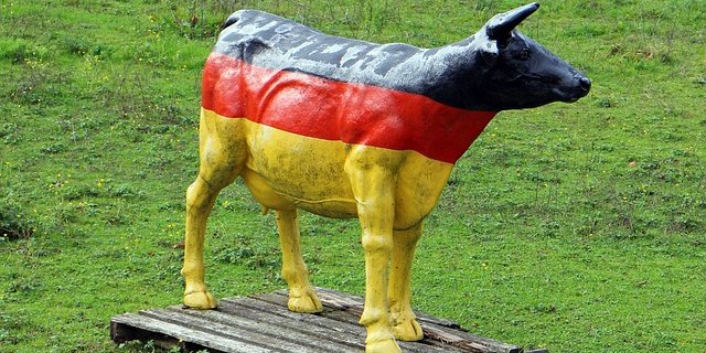 (Bild zVg)