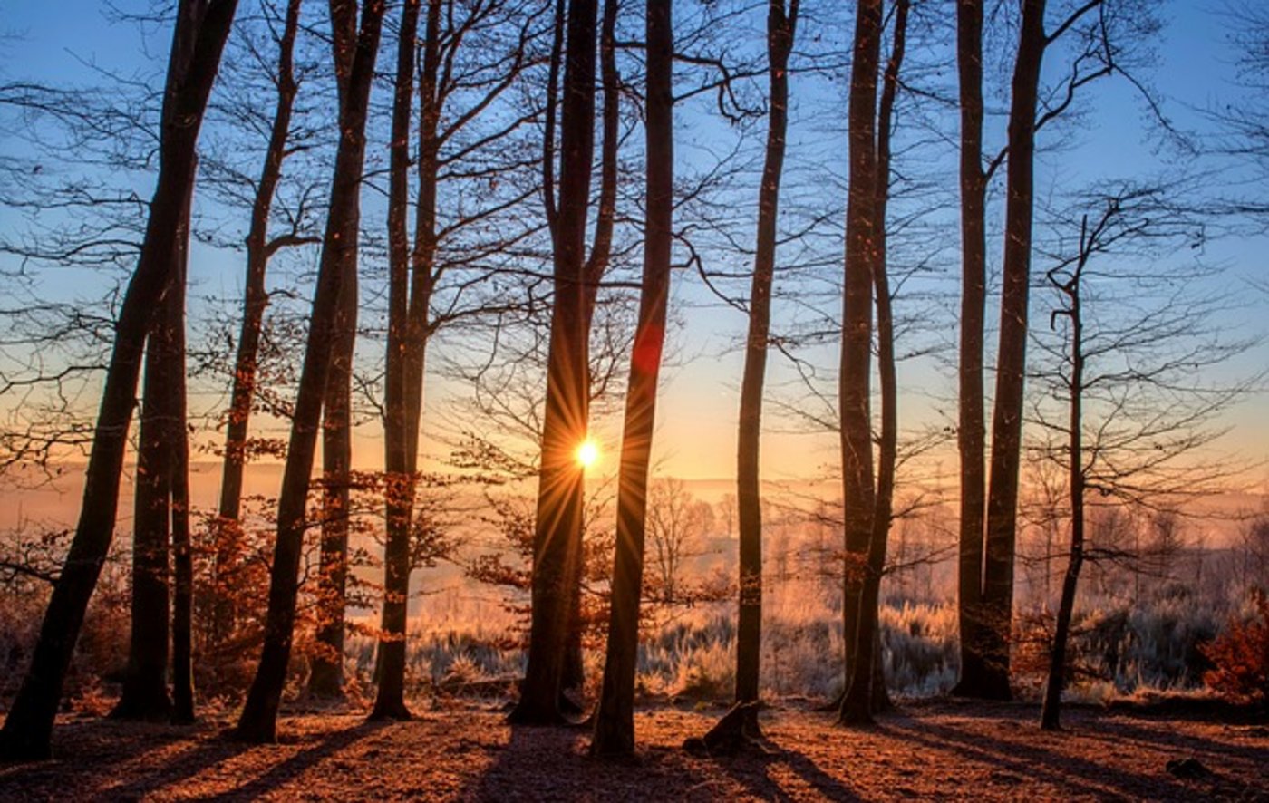 Gerade im Winter ist es schwierig, genügend Sonnenlicht für die Vitamin-D-Produktion über die Haut aufzunehmen. (Bild Pixabay)