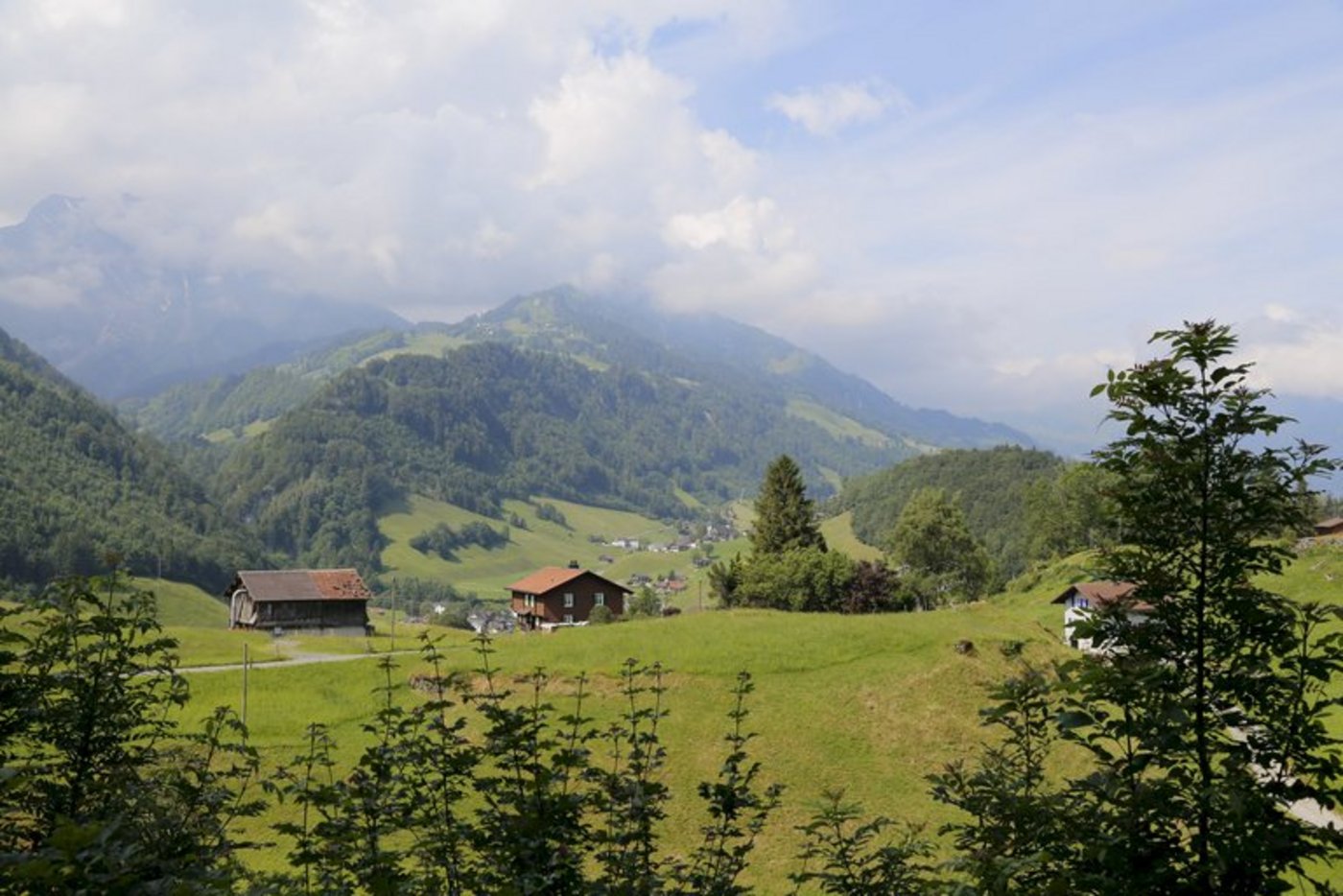Der Verein schaltet nun seine Angebote unter anderem auf der Website www.agrotourismus.ch auf. (Symbolbild ji)