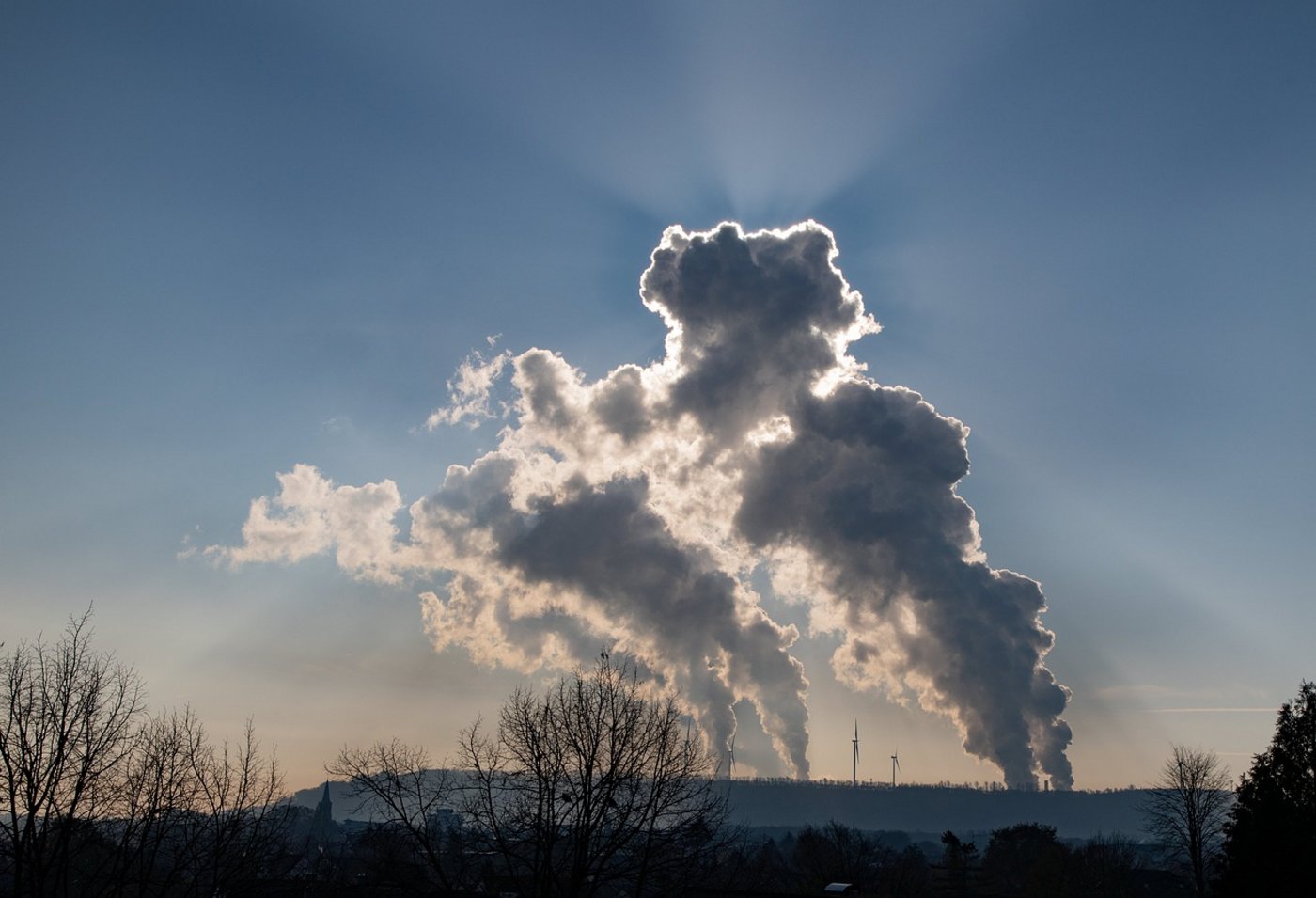 Nicht alle Treibhausgasemissionen der Landwirtschaft lassen sich vermeiden, wenn die Selbstversorgung bei 50 % liegen soll. (Bild Pixabay)
