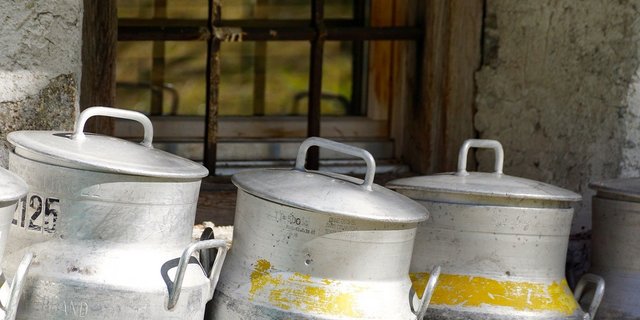 Die verschärften Corona-Massnahmen haben auch Auswirkungen auf die Milchkontrolle. (Bild Pixabay)