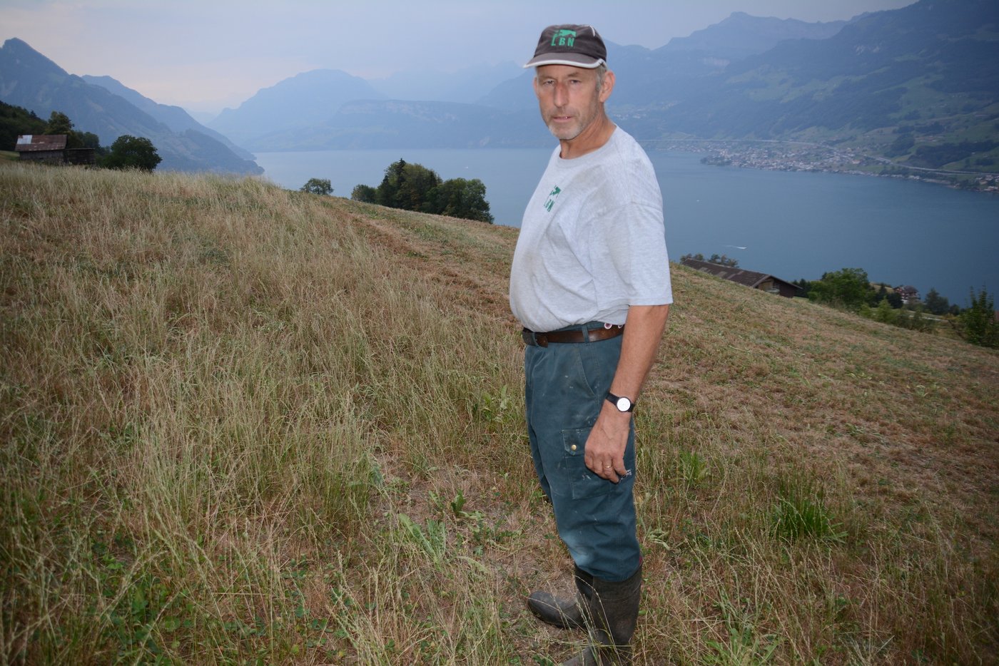 Trockenheit auch in Ennetbürgen: Sepp Odermatt hält hier auf einem 11.5 ha Milchwirtschaftsbetrieb  20 Kühe, Jungvieh und einige Mastschweine. (Bilder js)