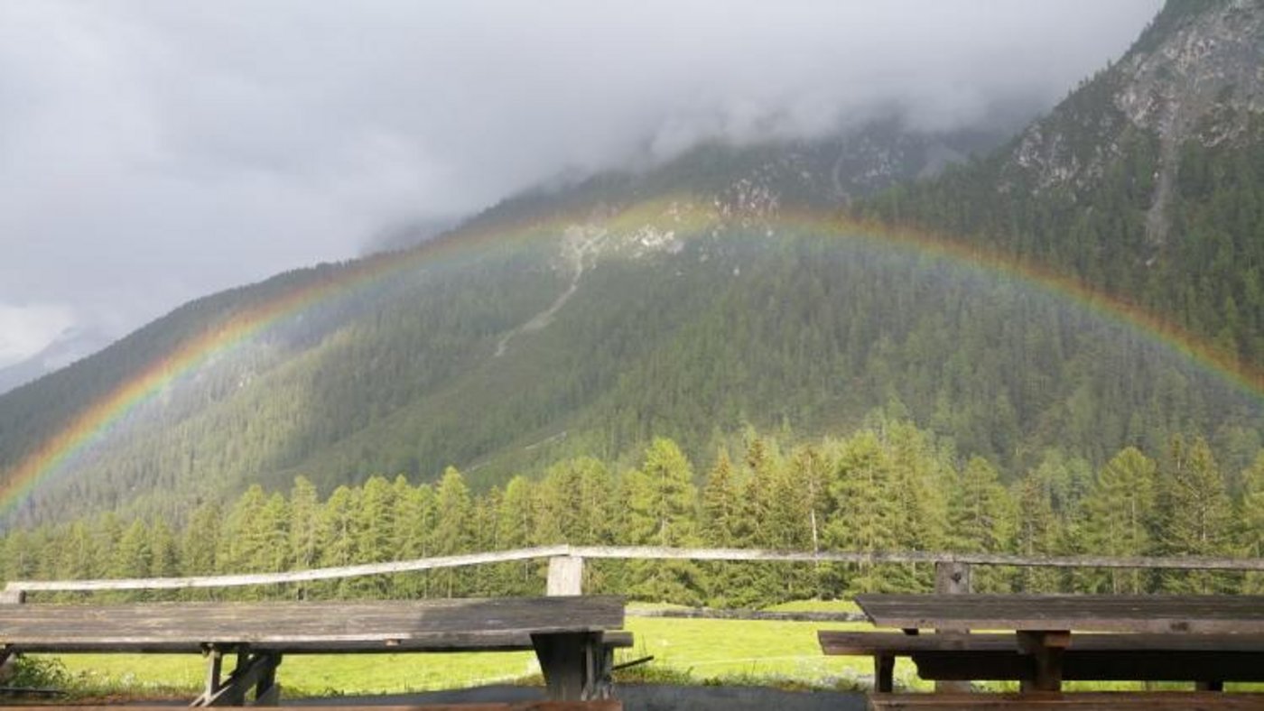 Eindrücke von der Alp Laisch. (Bild zVg)