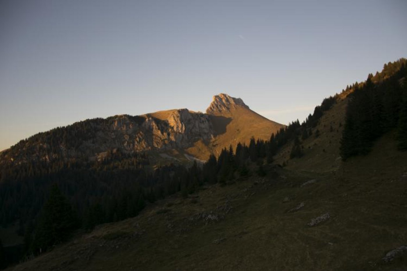 Eindrücke von der Oberstockenalp. (Bild Vreni und Werner Bühler)