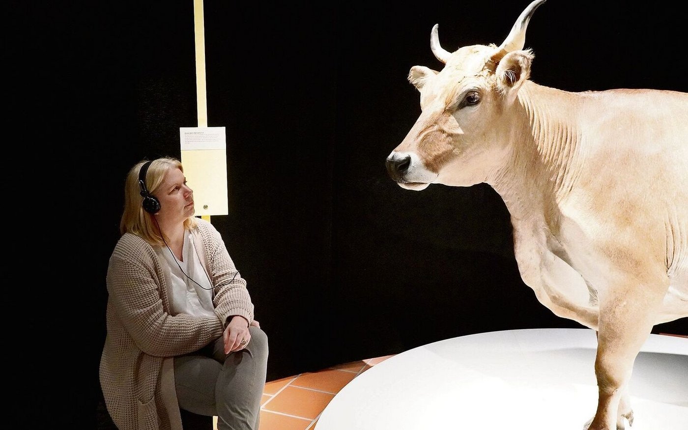 Viel Wissenswertes zu Braunvieh gibt es in Zug nicht nur für Züchterinnen und Züchter, sondern die vielfältige Ausstellung richtet sich an die ganze Bevölkerung.