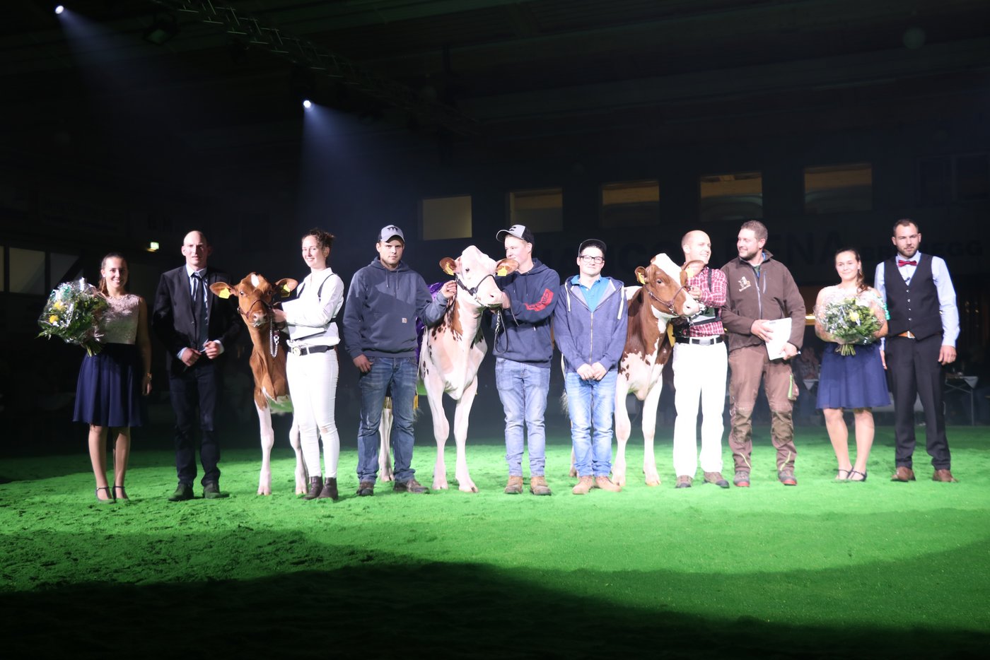 Champion Daniel Liann, Famile Felder, Marbach LU; Reserve Champion Germain Power Maddy von Cédric Germain aus St.George VD; Mention honorable Grands-Bois Diamondback Tolerance von Jean Kolly aus Epagny FR.  (Bild Ruth Aerni)