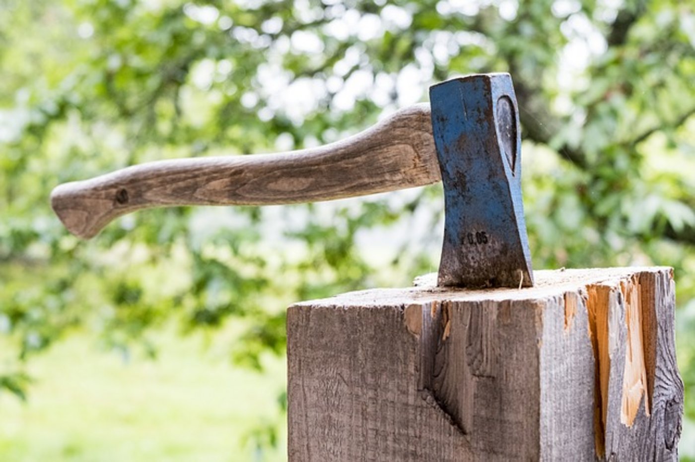 Zukünftig dürfte nur noch Holz in Verkehr gebracht und gehandelt werden, welches vorgängig legal geerntet und gehandelt wurde. (Bild pixabay)