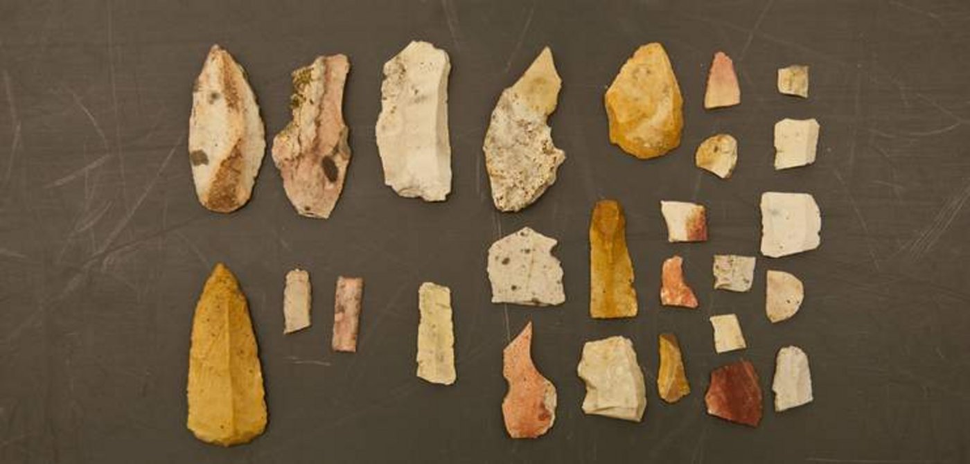 Die gefundenen Feuersteine, auch Silex genannt. (Bilder Kantonsarchäologie Schaffhausen)