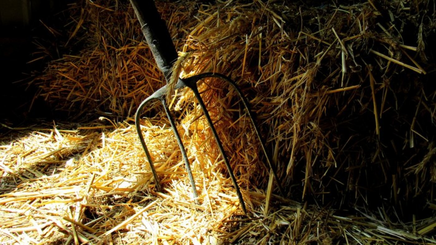 2017 wurden neun Betriebe im Kanton Solothurn unterstützt. (Bild Fotolia)