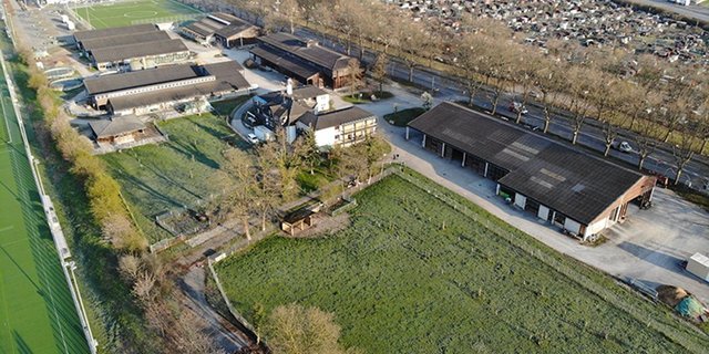 Insgesamt sollen bereits 80 Prozent der städtischen Landwirtschaftsflächen biologisch bewirtschaftet werden. (Bild stadt-zuerich.ch)