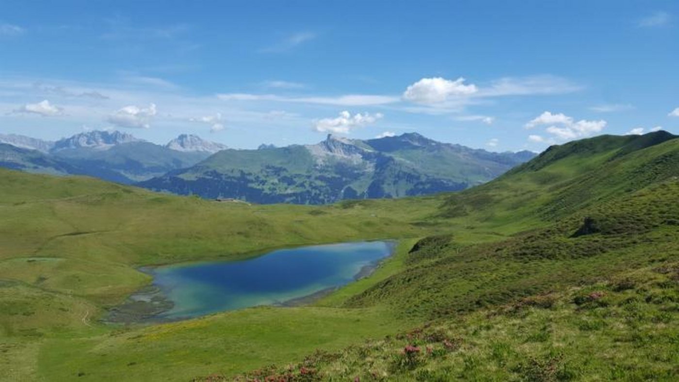Eindrücke von der Alp Fideriser Duranna. (Bild zVg)
