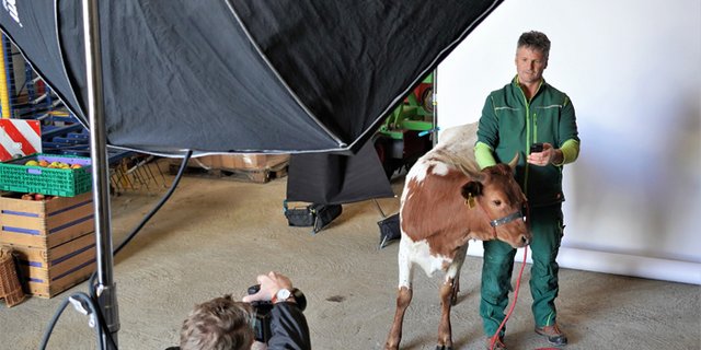 Landwirt Hans Nef aus Oetwil a. See ZH, der mit vierbeiniger Begleitung posierte. (Bild LID)