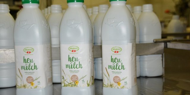 Heumilchproduzenten müssen verschiedene Kriterien beachten und erhalten dafür einen höheren Milchpreis. (Bild BauZ)