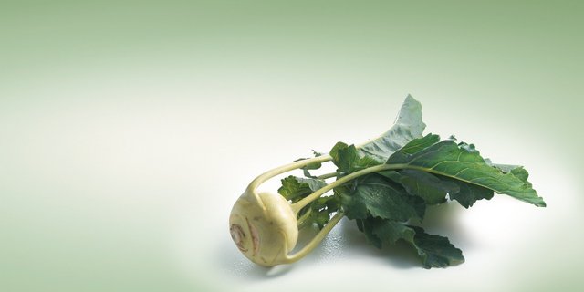Kohlrabi ist kalorienarm und hat einen hohen Gehalt an den Vitaminen C und B. (Bild: VSGP) 