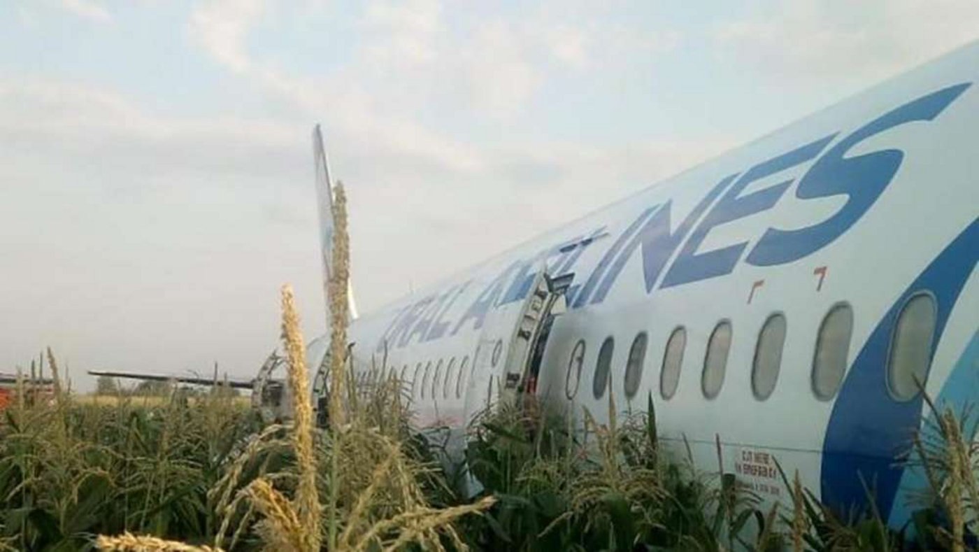 Der Airbus A321 auf dem Maisfeld in der Nähe des Flughafens Schukowski im Gebiet Moskau. (Bild Pressservice of Russian Emergency Situations Ministry)