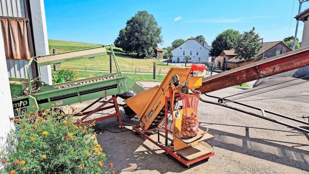Für Ernte und Verlesen von Kartoffeln sind verschiedene Maschinen nötig. Bis die Sortierbänder eingerichtet sind, dauert es eine Weile.