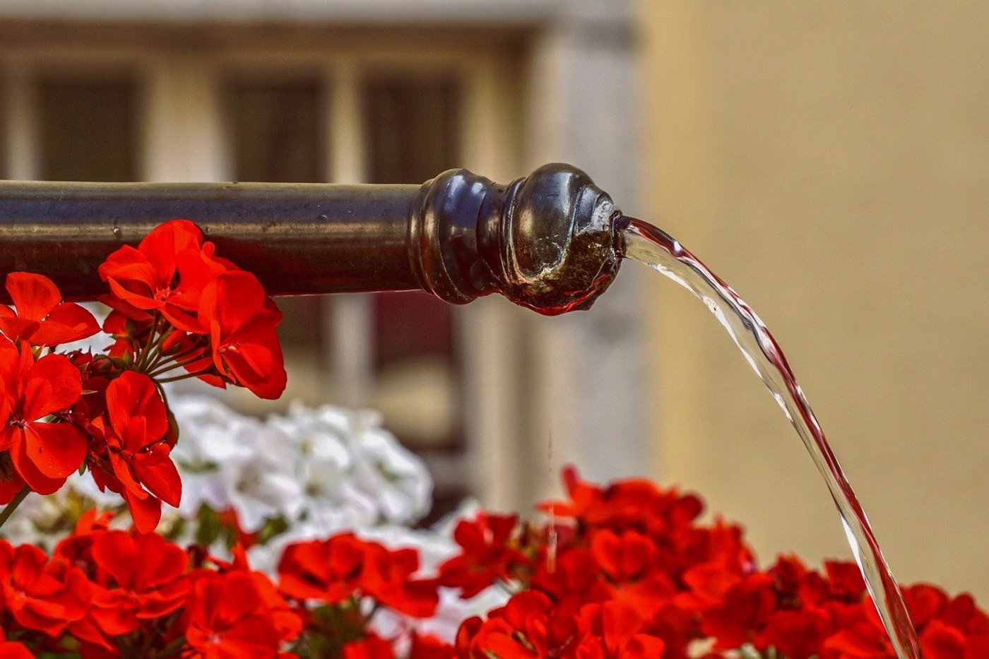Die Delegierten der SP befürworten die Trinkwasser-Initiative und die Pestizid-Verbots-Initiative. (Bild Pixabay)