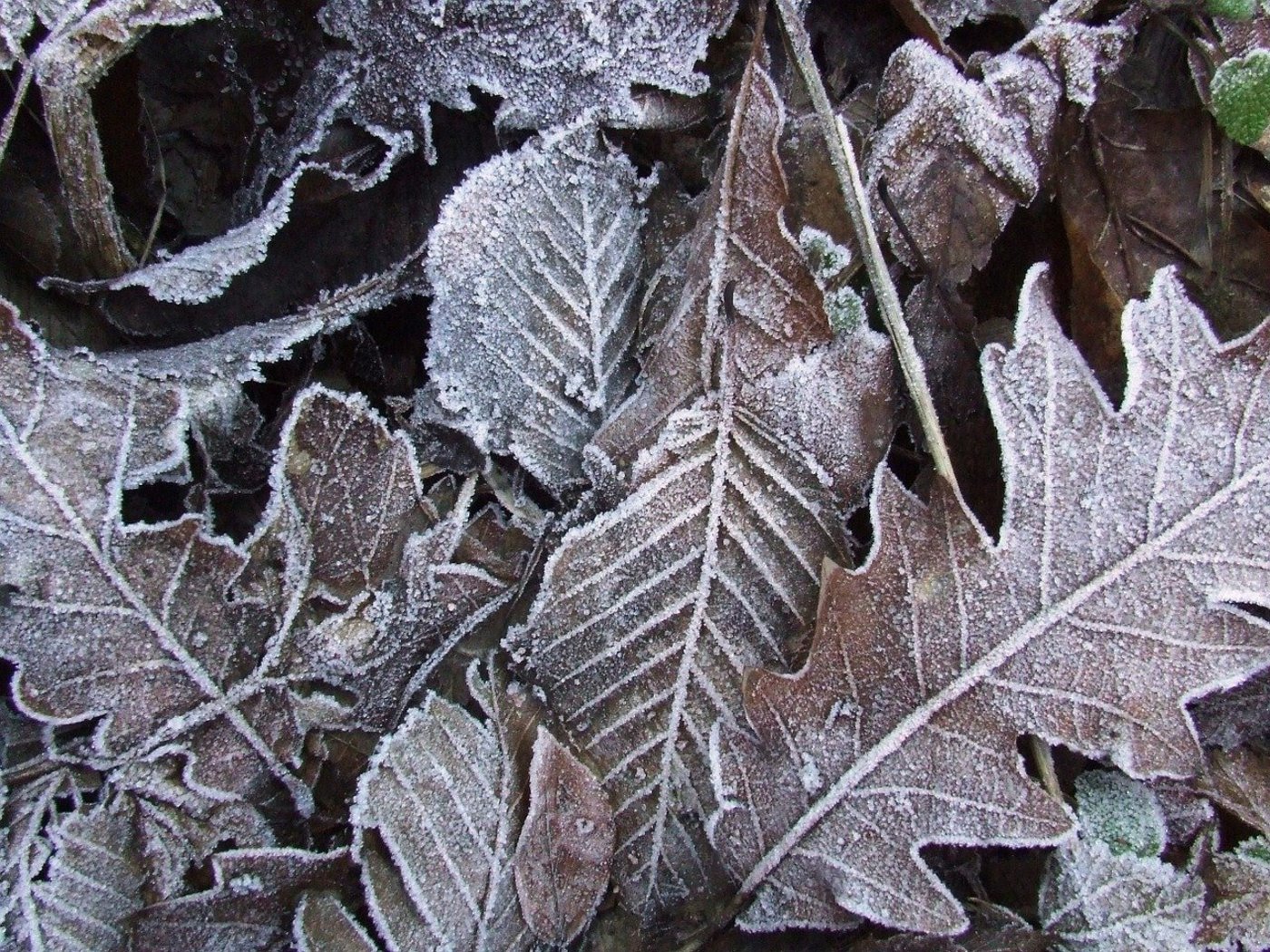 Auch der Mittwochmorgen dürfte frostig werden, danach solls wieder aufwärtsgehen. (Symbolbild Pixabay)