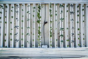 Fenaco beteiligt sich am Bau einer Vertical Farming-Pilotanlage Die Fenaco Landesprodukte sieht im Vertical Farming eine Möglichkeit, künftig nachhaltiger und gesünder Lebensmittel zu produzieren. (Bild lid)