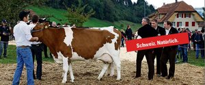 Schneider-Ammann will Beständeschauen stützen Die Viehschauen sollen den Werbebalken der Absatzförderung tragen. Ab kommendem Jahr sollen sie unter dem Absatzförderungsprojekt der ASR laufen. (Bild: sb / Montage: rd)