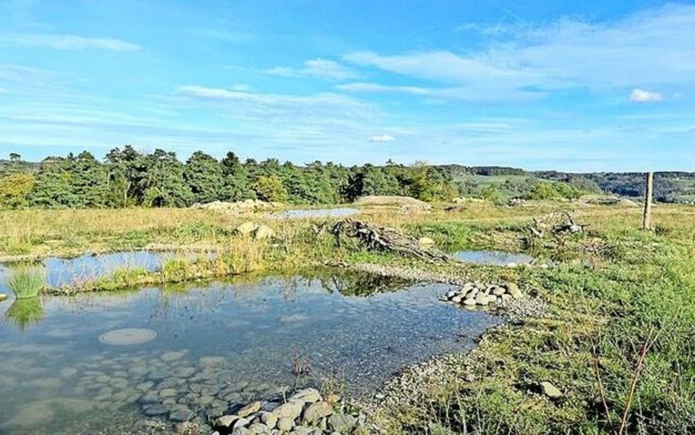 Deponie Leigrueb in Lufingen, eine ehemalige Deponie für Abfälle vom Typ E.  Auf einem Teil der Fläche wurden verschiedene Naturschutzelemente angelegt.