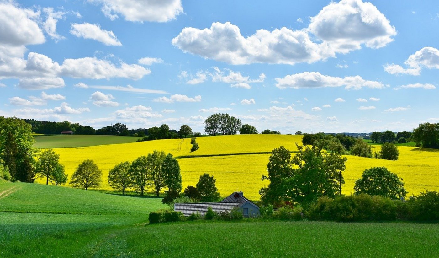 Das Nein zum CO2-Gesetzt sei jedoch kein Nein zum Klimaschutz, meint Bundesrätin Simonetta Sommaruga. (Bild Pixabay)