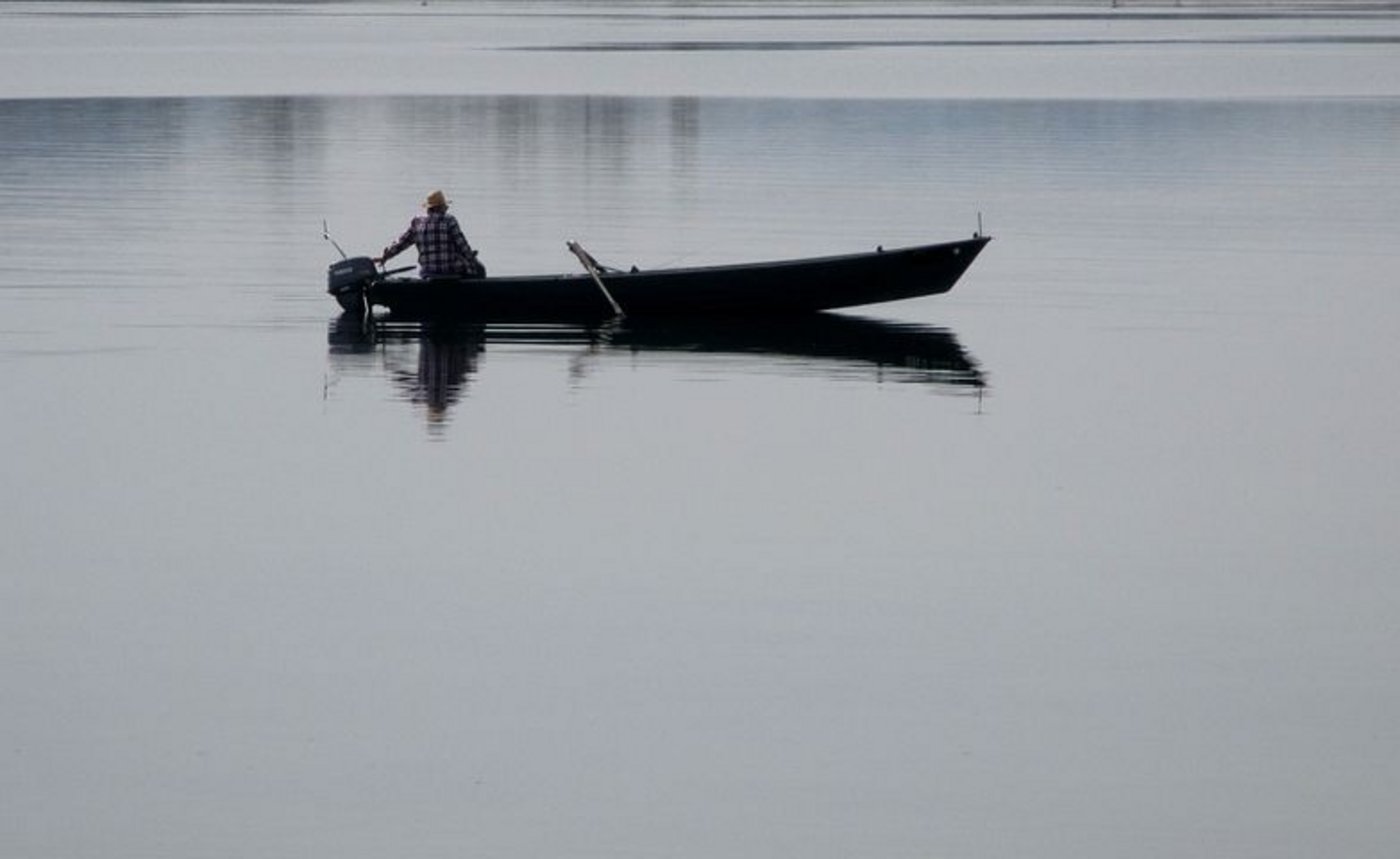 Von der Fischerei kann am Bodensee niemand mehr leben. Jeder Fischer hat sich mittlerweile einen Nebenberuf suchen müssen, klagt Elke Dilger vom Verband badischer Berufsfischer am Bodensee. (Bild Pixabay) 