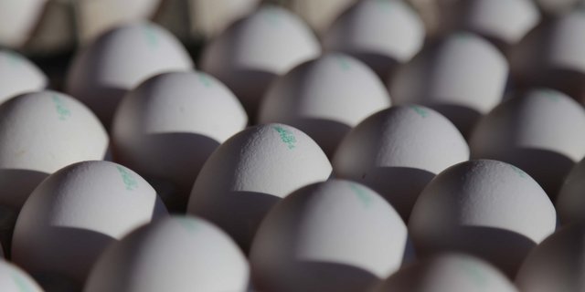 Im Ausland sind Freiland- und Bio-Eier weiterhin knapp. (Symbolbild, ji)