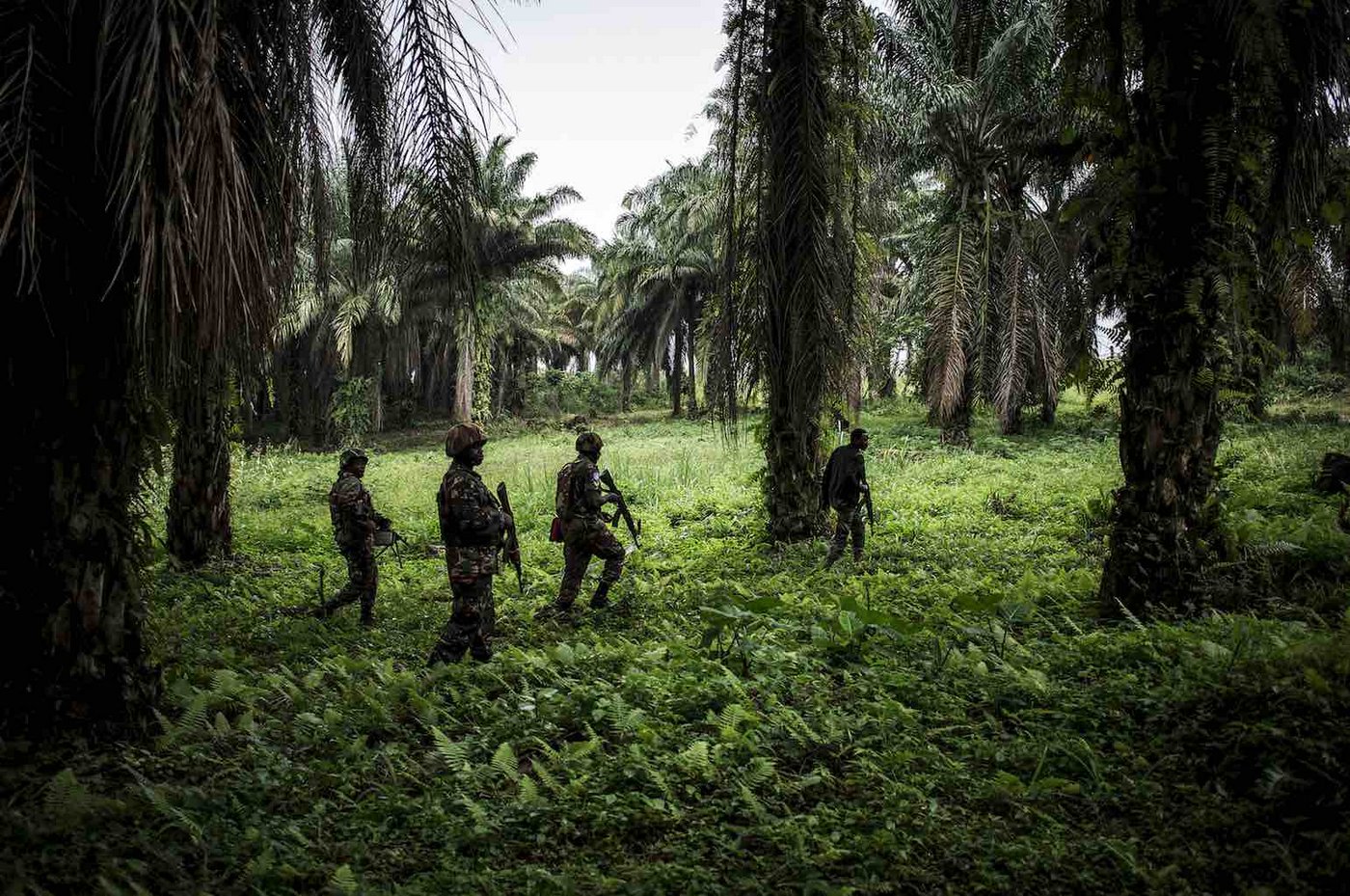 Soldaten auf Patrouille gegen die ADF, eine teils islamistische Rebellengruppe Ugandischer Herkunft. Beni, Demokratische Republik Kongo, 13. Nov. 2018.   © World Press Photo (Bild: John Wessels)