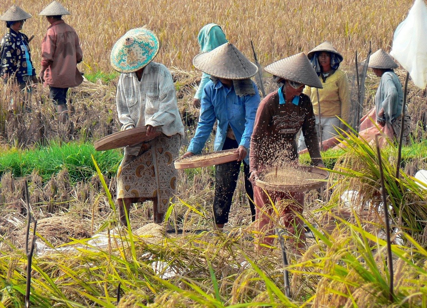 Dass das Freihandelsabkommen Indonesien Wirtschaftswachstum bringen könnte, sieht der SBLV als Vorteil. (Bild Dezalb/Pixabay)