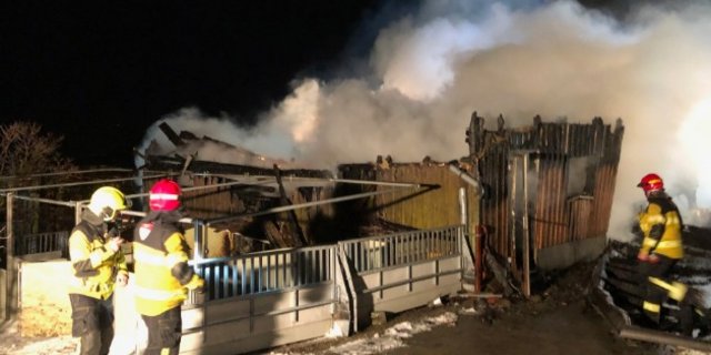 Trotz dem Einsatz der Feuerwehr Hundwil und Herisau konnten die 200 Mastschweine nicht mehr gerettet werden. (Bild Kantonspolizei AR)