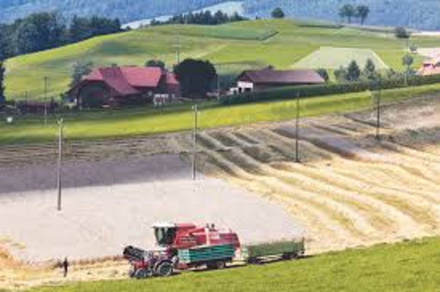 7145 Höfe oder 16% aller Betriebe waren letztes Jahr von Direktzahlungskürzungen betroffen. (Bild Archiv)