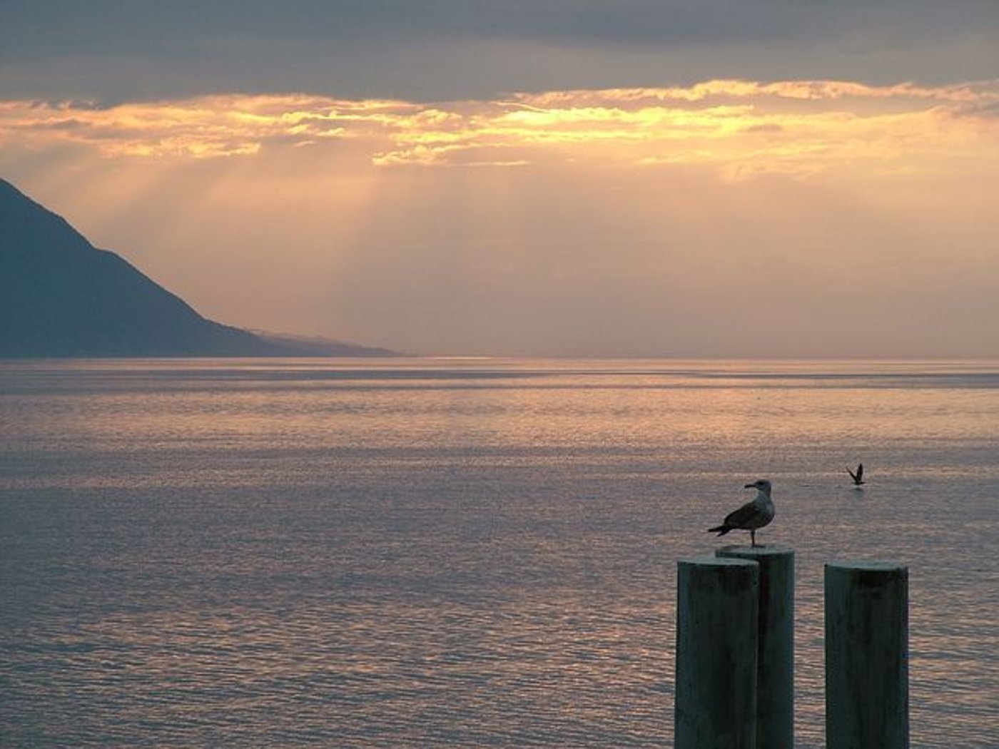 Die Idylle trügt: Offenbar verunreinigen viele Schwermetalle den Genfersee. (Bild Pixabay)