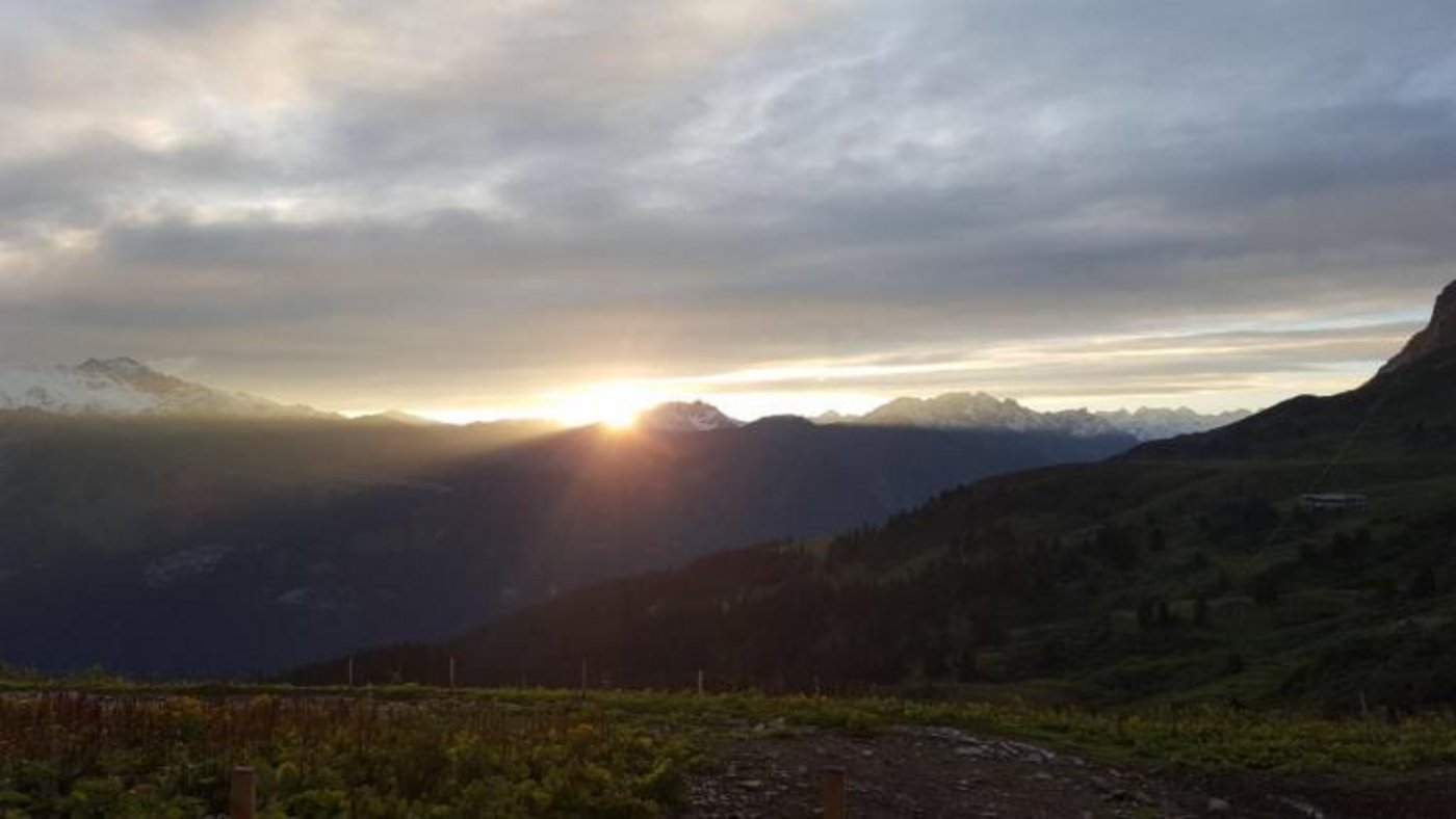 Eindrücke von der Alp Fideriser Duranna. (Bilder zVg)
