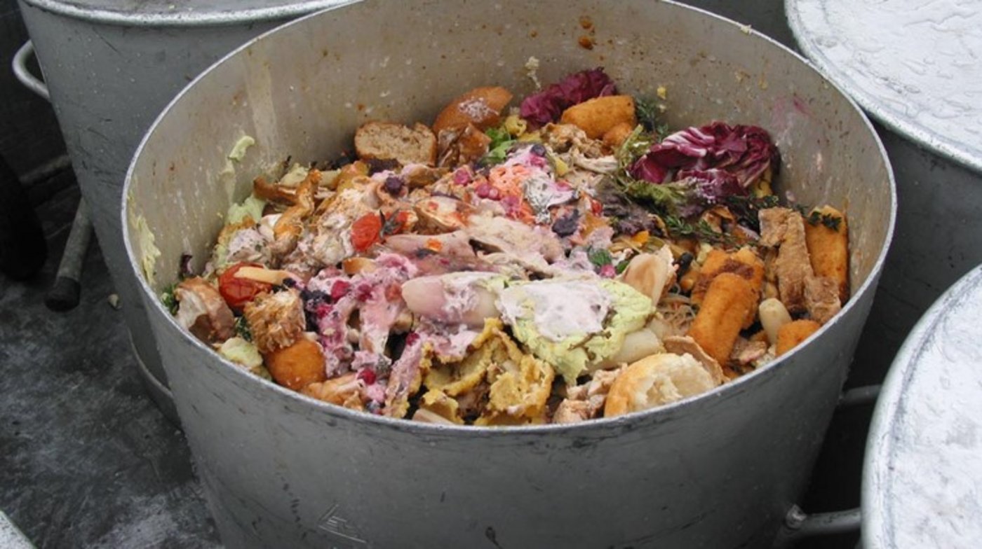 Der Schutz der Gesundheit muss laut Bundesrat auch beim Thema Foodwaste-Vermeidung gesichert werden. (Bild lid)