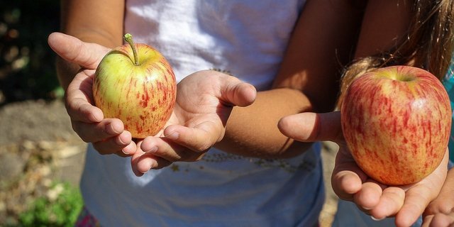Auf einem Bauernhof ist für Unterhaltung gesorgt und es gibt immer etwas zu entdecken. (Symbolbild Pixabay)