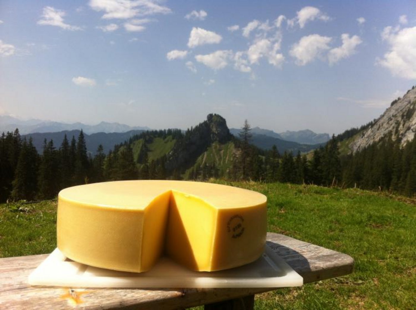 Alp Schwandi/Laub. (Bild Lea Kluge)