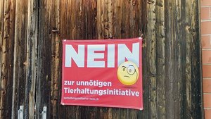 Solche Fahnen sollen Solche Fahnen sollen im Kanton Luzern nicht zulässig sein, wenn sie länger als sechs Wochen vor einer Abstimmung hängen.