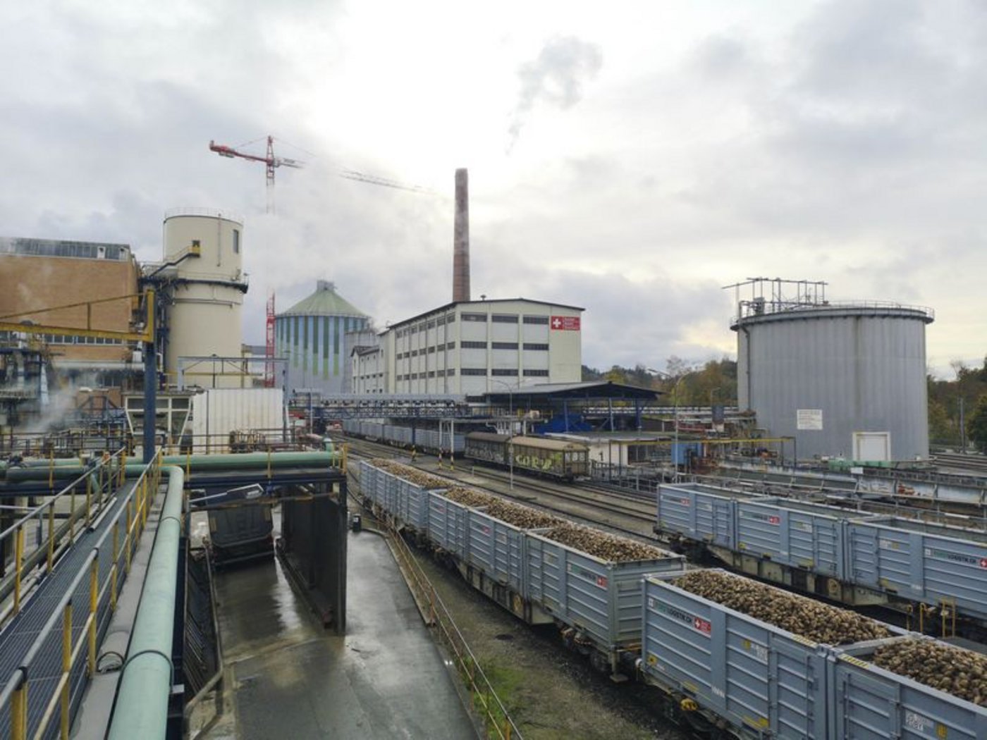 Im vergangenen Jahr drückte der tiefe Weltmarktpreis das Ergebnis der SZU und die Rübenpflanzer hatten mit der Virösen Vergilbung und dem Syndorme Basse Richesse zu kämpfen. (Bild lid)