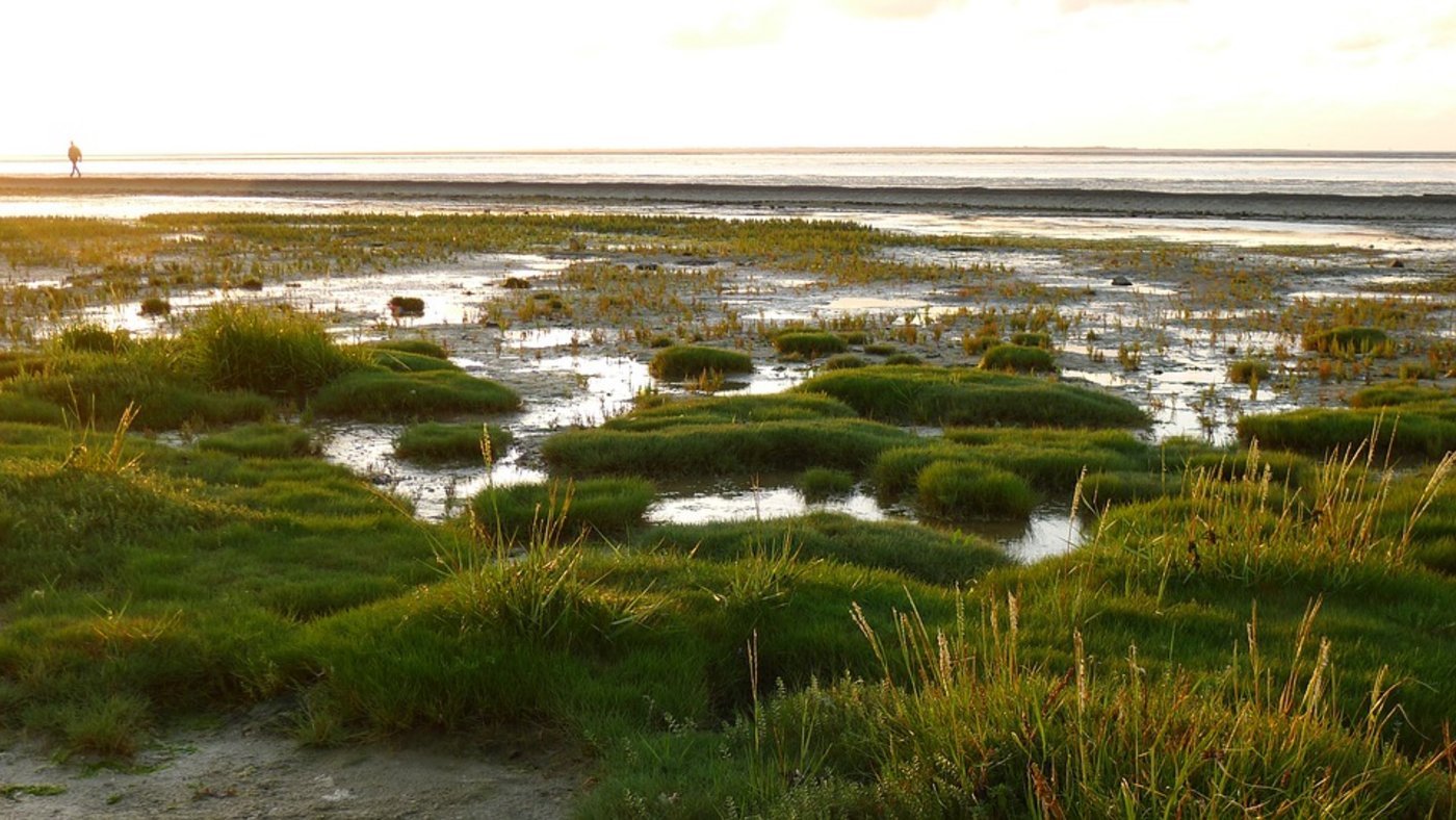 Wattenmeer in Neuhaarlingersiel in Norddeutschland: Ein Ortsteil ist seit 1979 ein staatlich anerkanntes Nordseeheilbad. (Bild Pixabay)