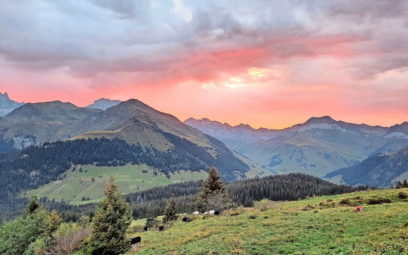 Der Herbst hält Einzug, die Sonne kommt morgens immer später –  dafür kommt das Alpteam in den Genuss eines prächtigen Morgenrots. 