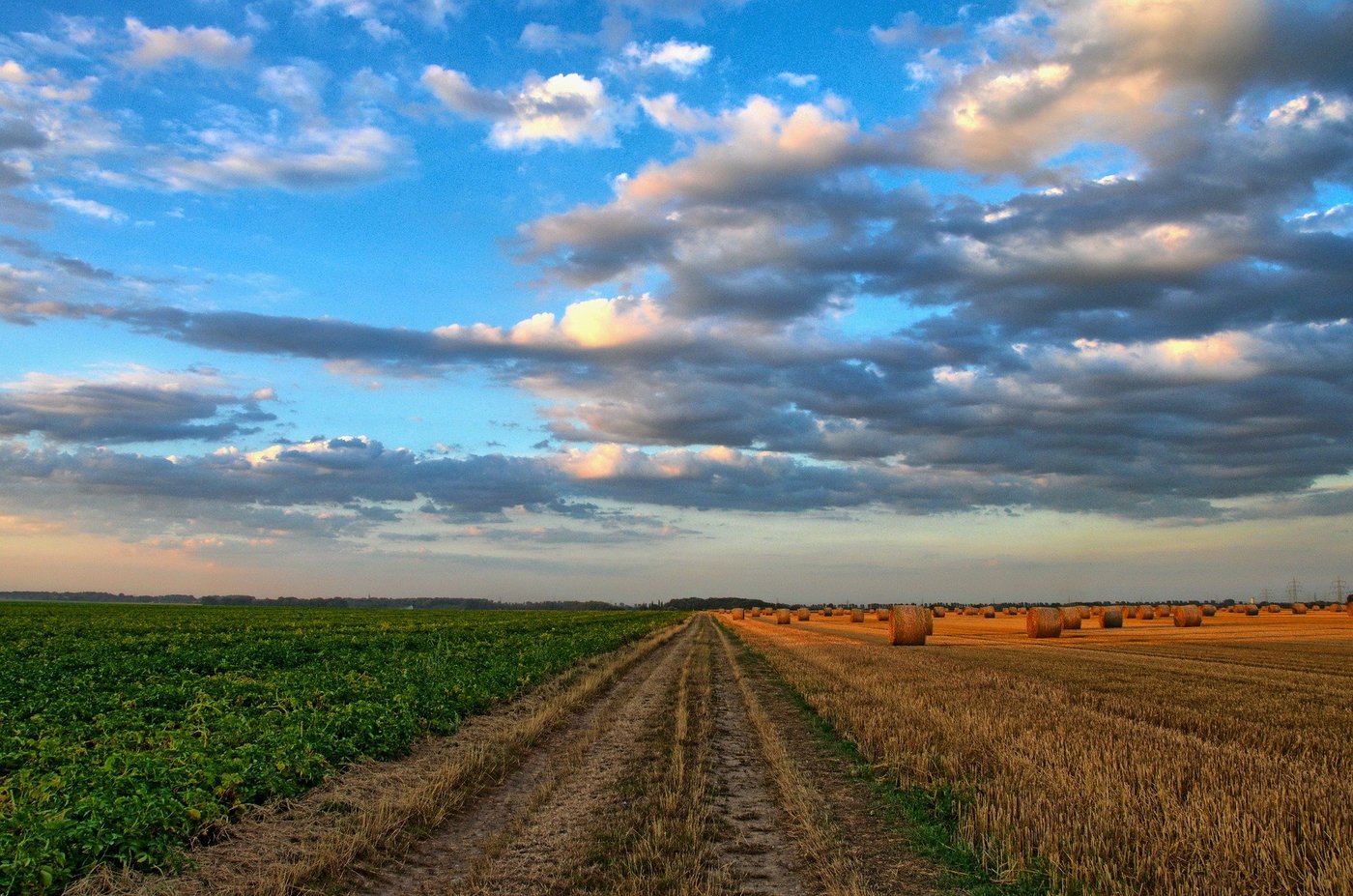 Gesunde Böden seien der Schlüssel zur Nachhaltigkeit. (Bild Wolfgang Borchers/pixabay)