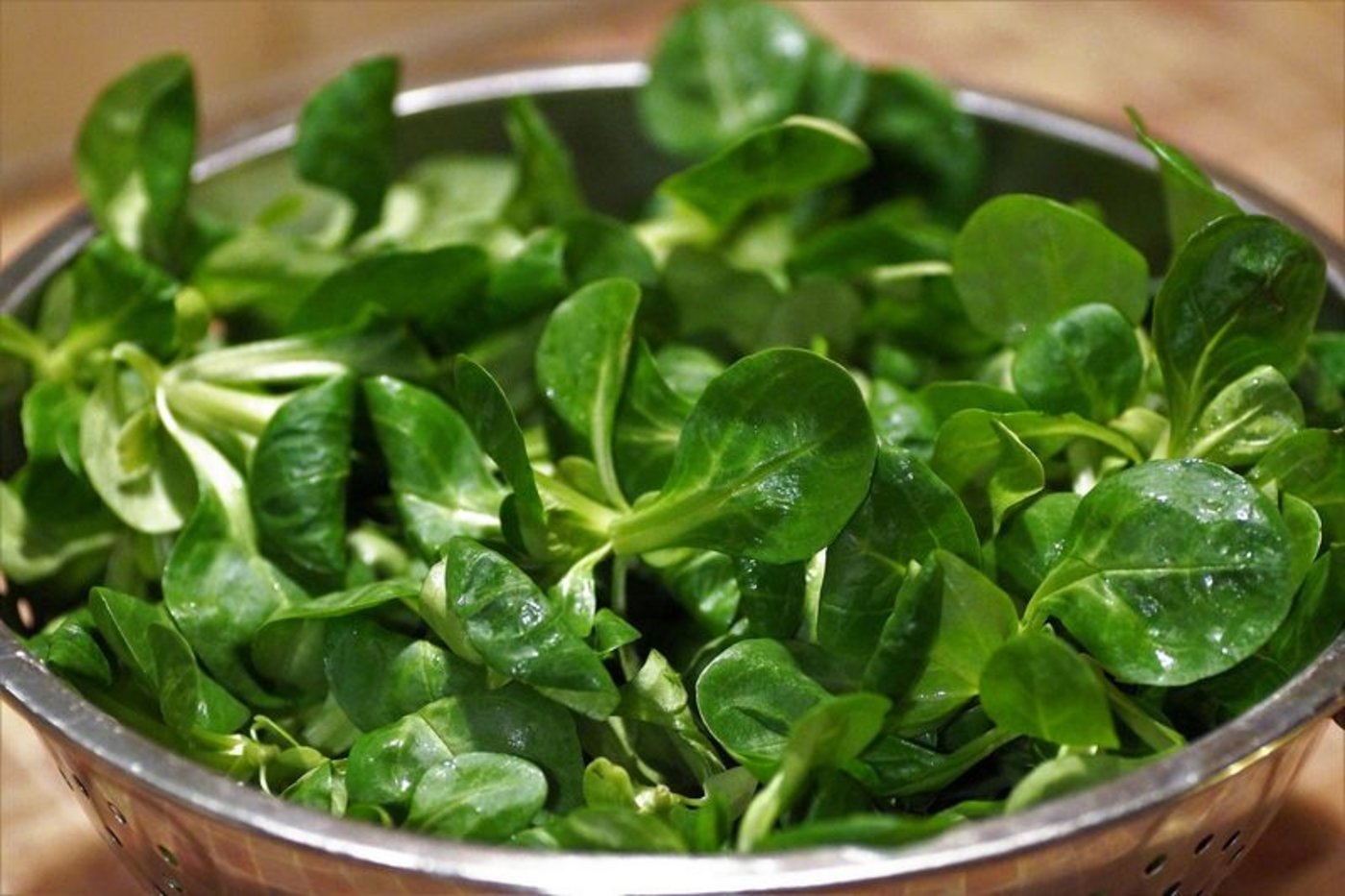 Jetzt beginnt wieder die Hauptsaison des Nüsslisalates. (Bild Pixabay)