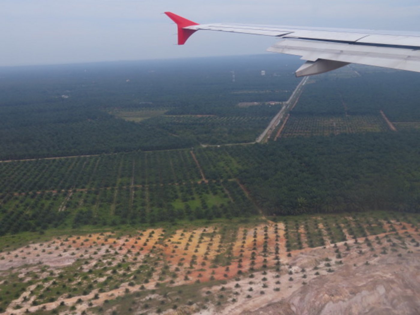 85 Prozent des weltweit produzierten Palmöls stammen aus Indonesien und Malaysia. (Bilder Lisa Gysin)