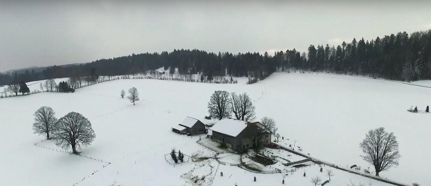 Einer der porträtierten Höfe aus der Vogelperspektive: Die Bauern im Dokfilm arbeiten hart und ihr Einkommen ist prekär. (Screenshot Youtube)
