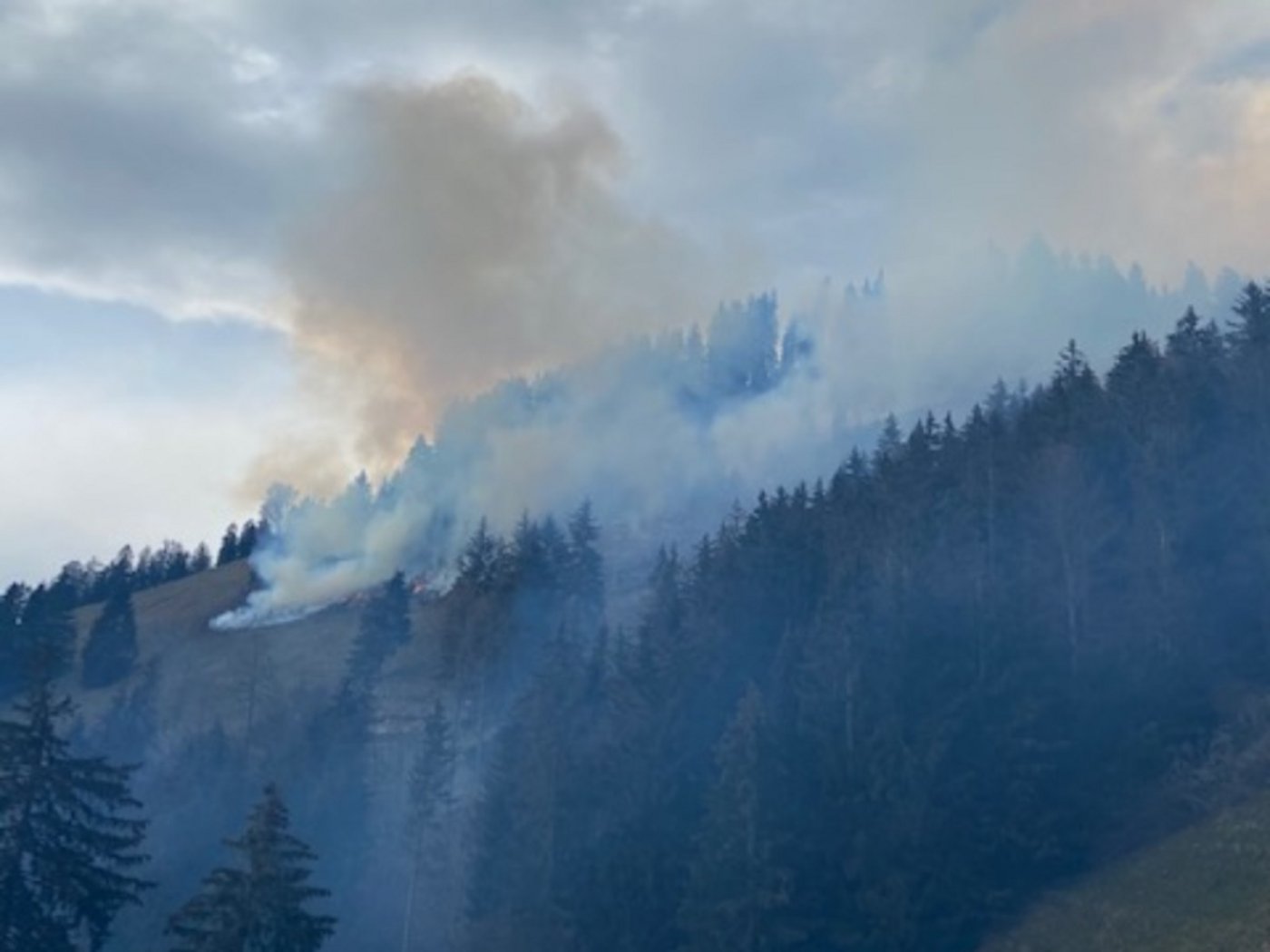 Das Feuer breitete sich auf einer Fläche von zirka 17'000 m2 aus. Es wurden keine Personen verletzt. (Bild Kapo FR)